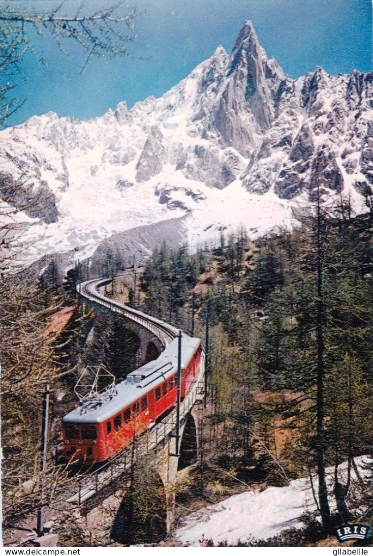 74   -  Haute Savoie - CHAMONIX  - Le Chemin De Fer Du Montenvers Et L Aiguille Du Dru - Chamonix-Mont-Blanc