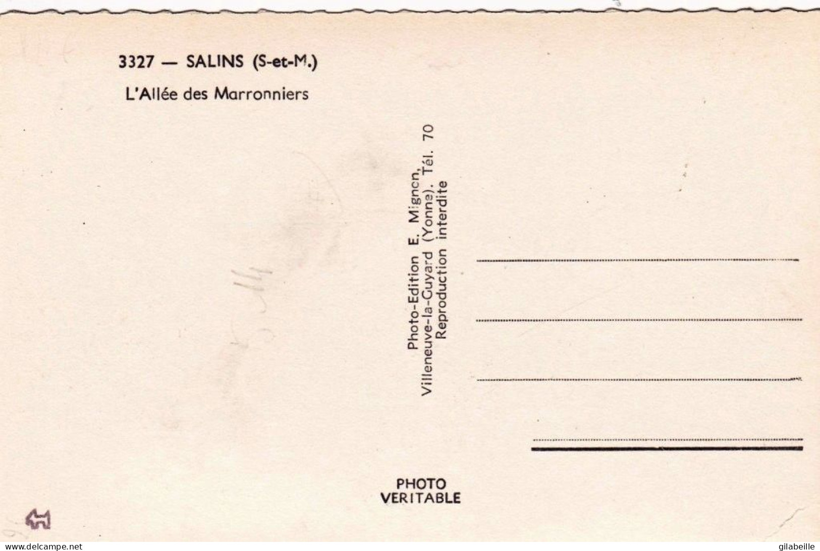 77 - Seine Et Marne  - SALINS - L Allée Des Marronniers - Altri & Non Classificati