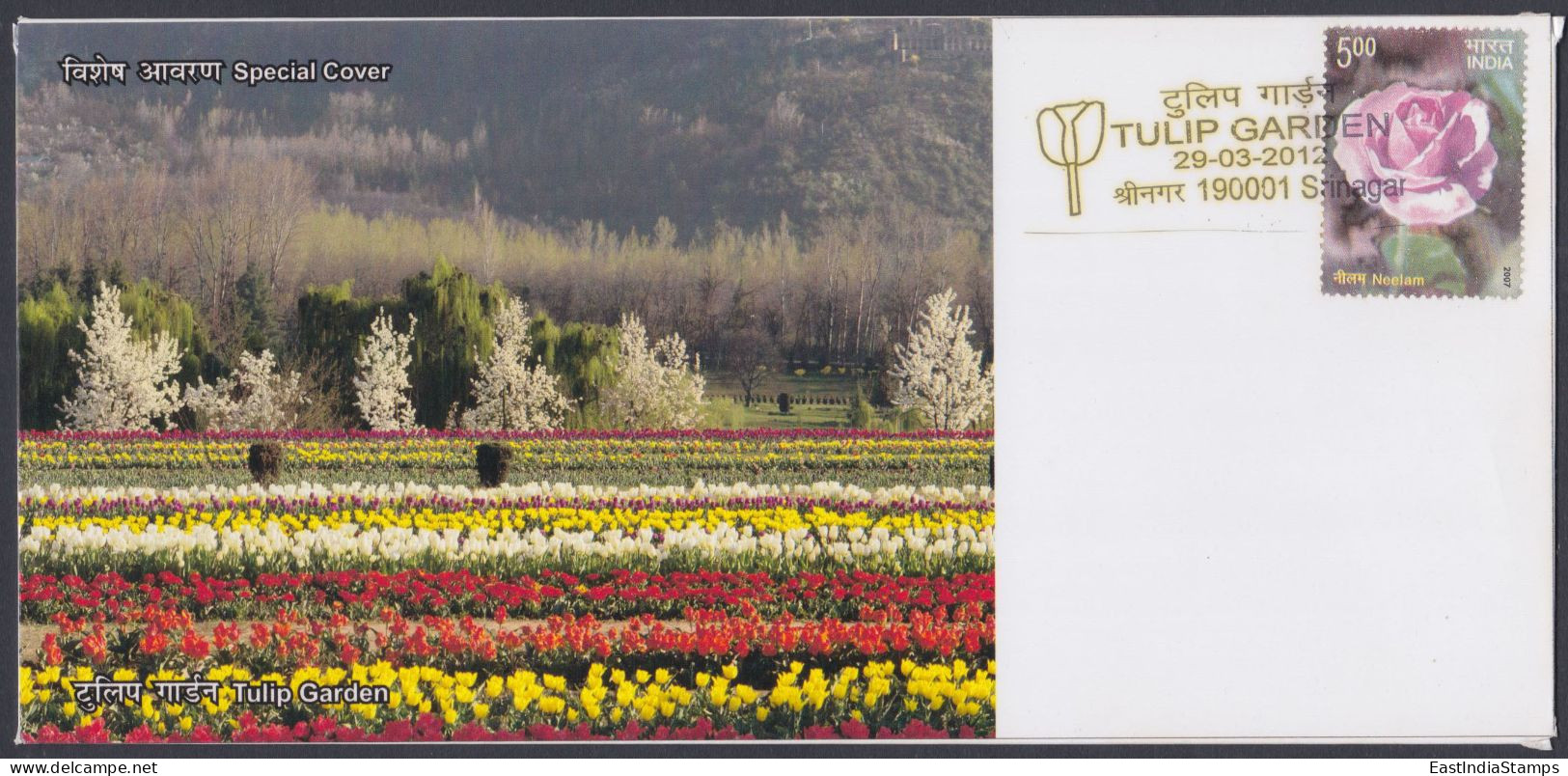 Inde India 2012 Special Cover Tulip Garden, Tulips, Flower, Flowers, Mountain, Flora, Pictorial Postmark - Covers & Documents
