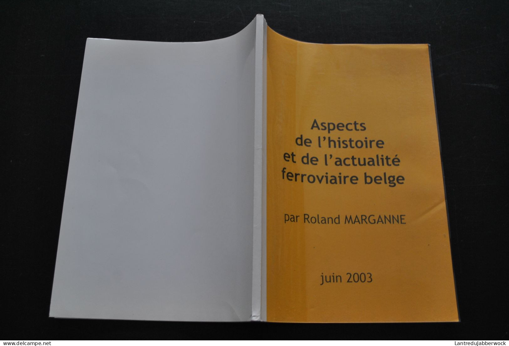 MARGANNE Aspects De L'histoire Et De L'actualité Ferroviaire Belge Entre Sambre Et Meuse Tamines Fleurus Auvelais Statte - Railway & Tramway