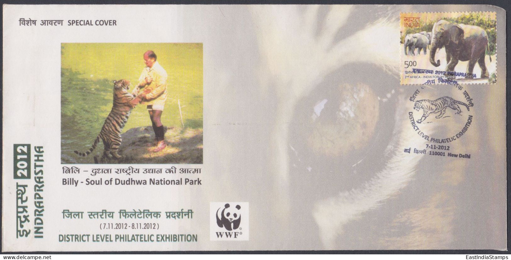 Inde India 2012 Special Cover Billy Tiger, Tigers, Wildlife, Wild Life, WWF, Animals, National Park, Pictorial Postmark - Storia Postale