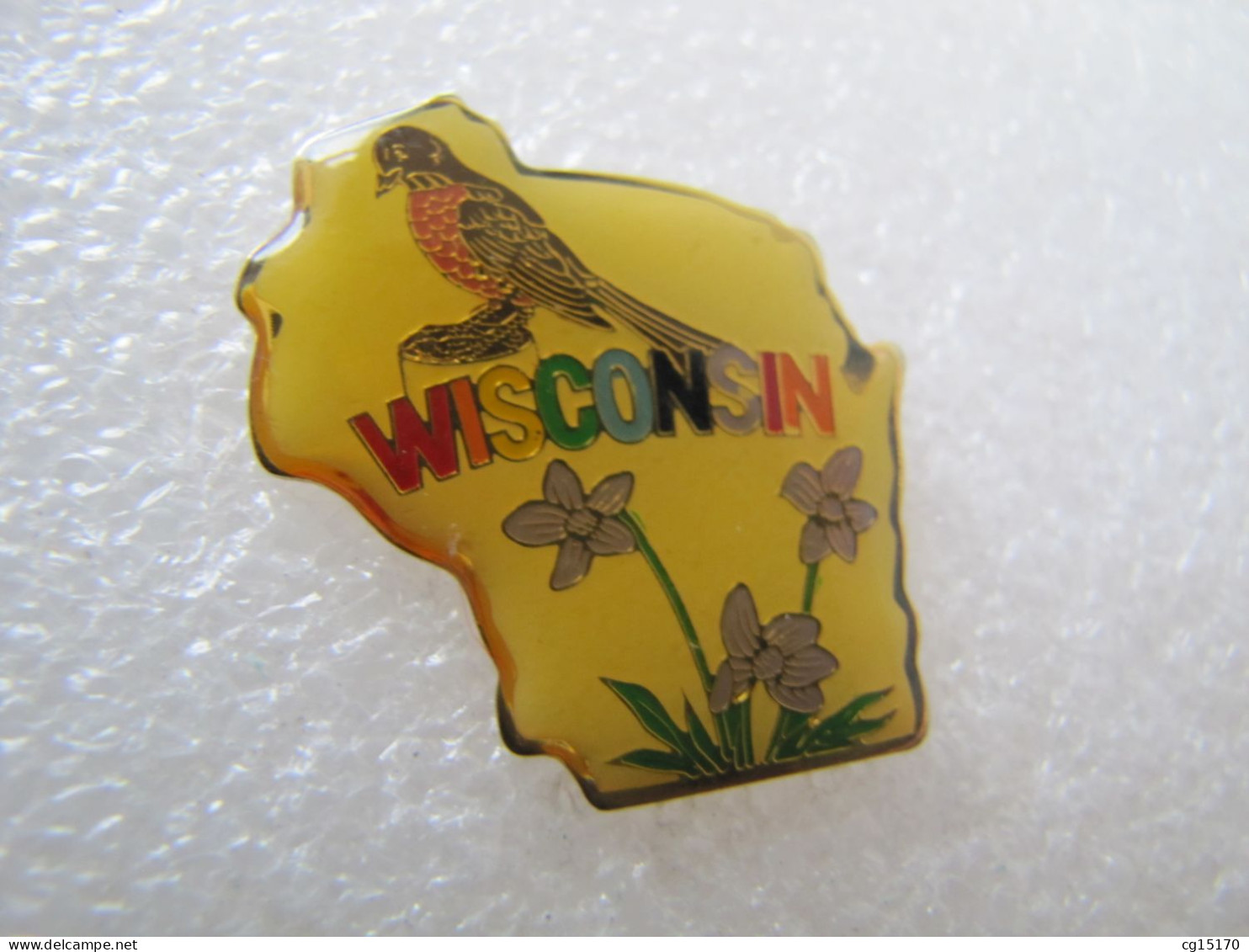 PIN'S   ANIMAUX  OISEAU  WISCONSIN - Tiere