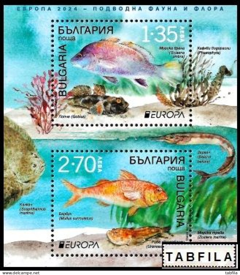 BULGARIA - 2024 - Europa-CEPT - Marine Flora And Fauna - Bl - MNH - Poissons