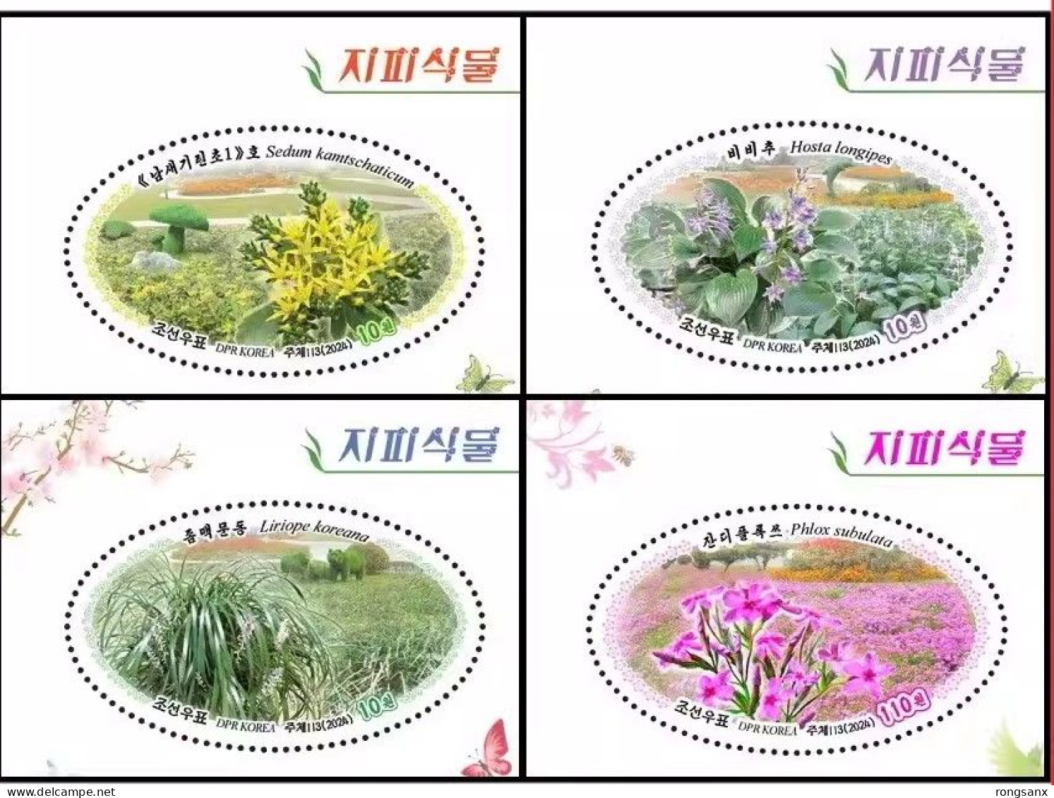 2024 KOREA COVER PLANTS FLOWER STAMP 4V - Korea, North
