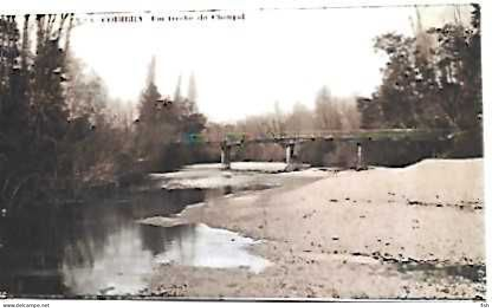 Portugal & Marcofilia, Coimbra, Um Trecho Do Choupal, Ed. Casa Júlio Da Cunha, Coes 1915 (6) - Sonstige & Ohne Zuordnung