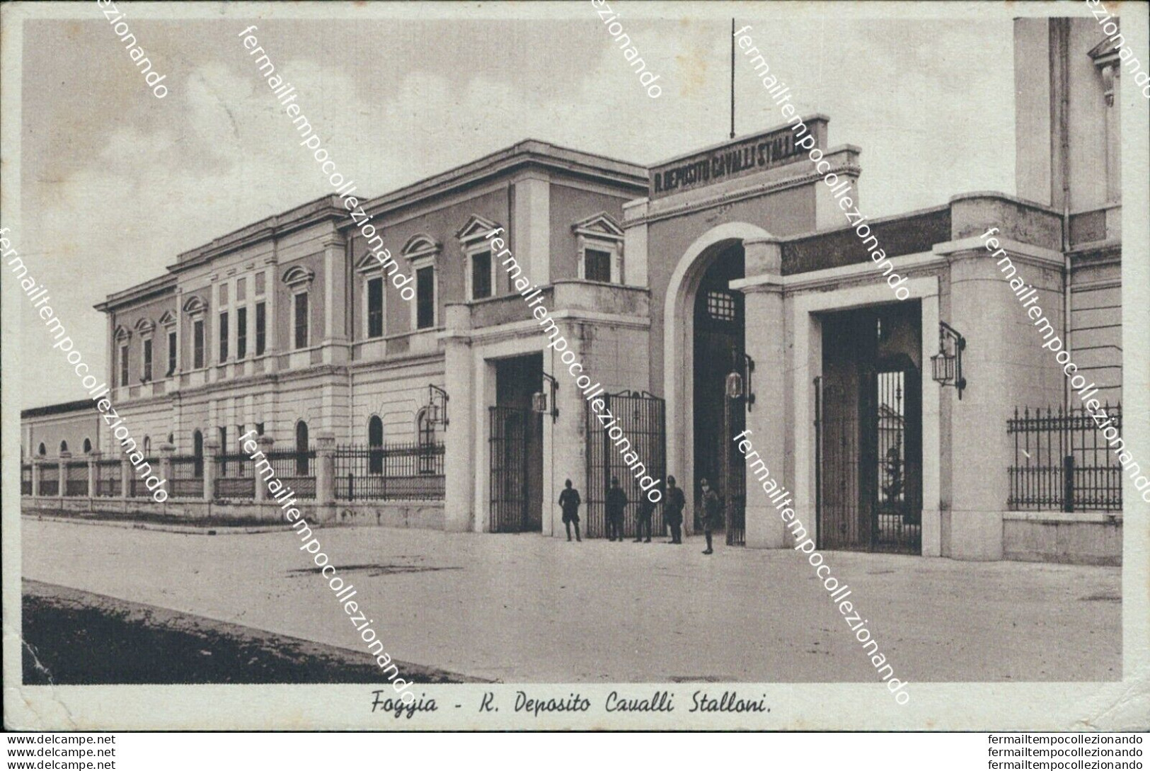 Bg418 Cartolina Foggia Citta' R.deposito Cavalli Stalloni 1939 - Foggia