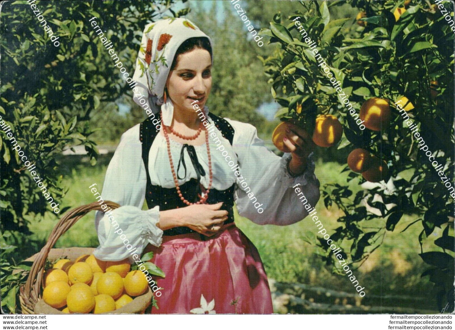 Bn279 Cartolina Sicilia Costumi Siciliani Raccolta Arance - Agrigento