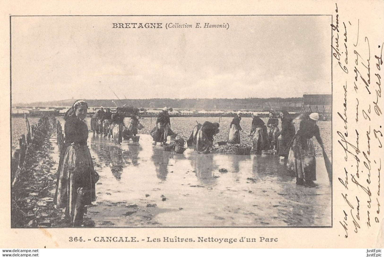 Ostréiculture / *** 35 *** CANCALE Les Huitres Nettoyage D'un Parc - Précurseur - Collection E Harmonie - 09/1902 - CPR - Cancale