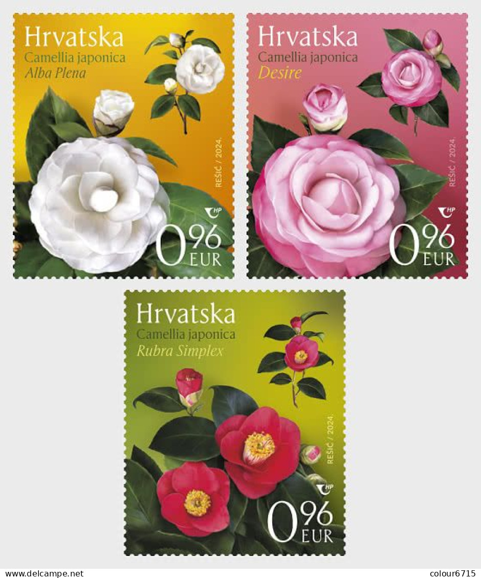 Croatia 2024 Croatian Flora - Camellias Stamps 3v MNH - Croatie