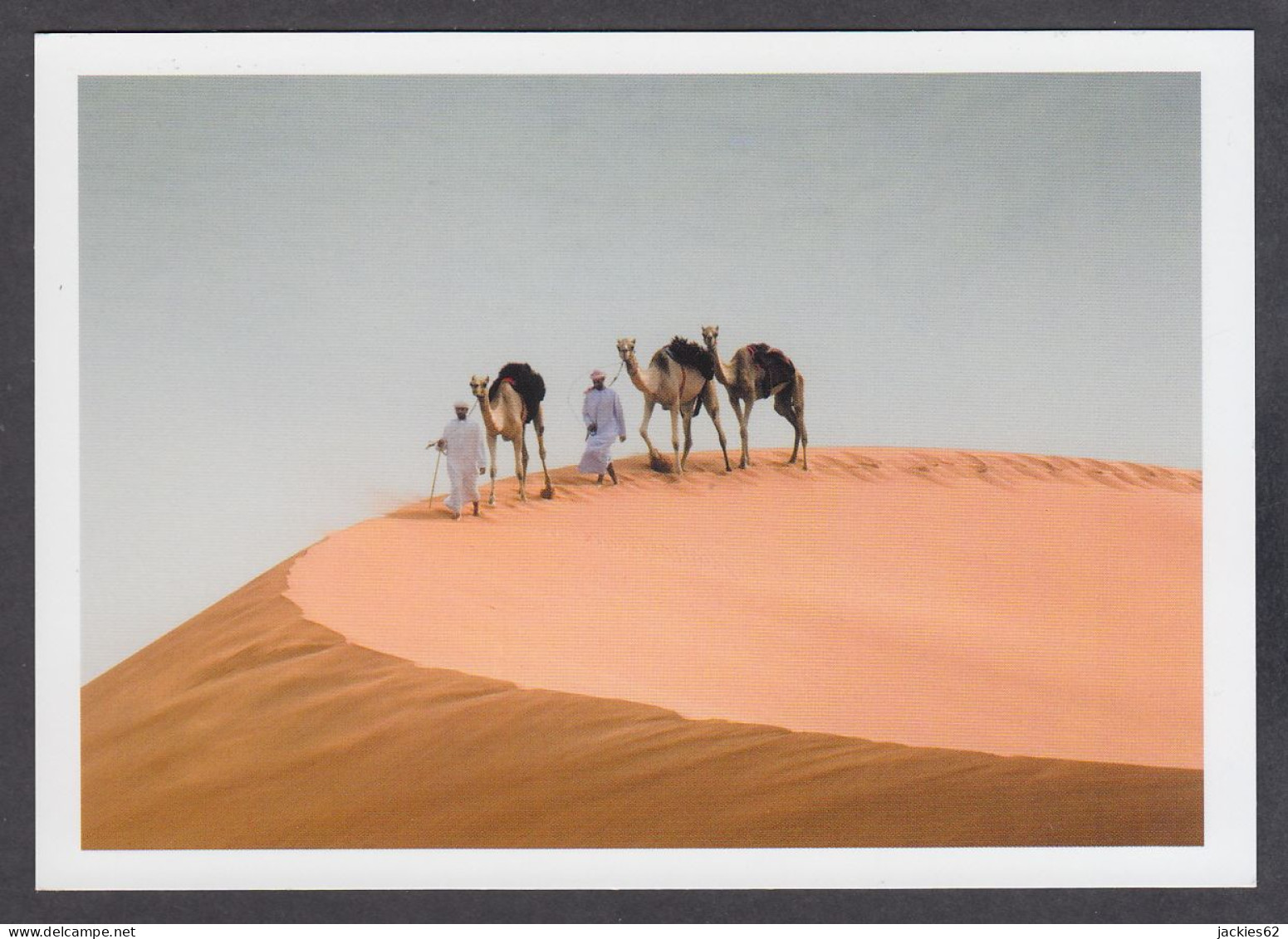 115435/ ABU DHABI, Al Gharbia Region, Dunes In The Liwa Desert - Emirats Arabes Unis