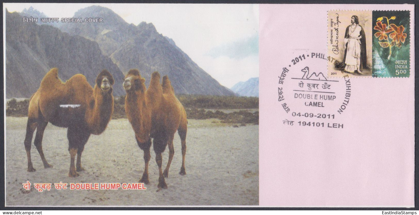 Inde India 2011 Special Cover Double Hump Camel, Mountain, Mountains, Camels, Pictorial Postmark - Brieven En Documenten