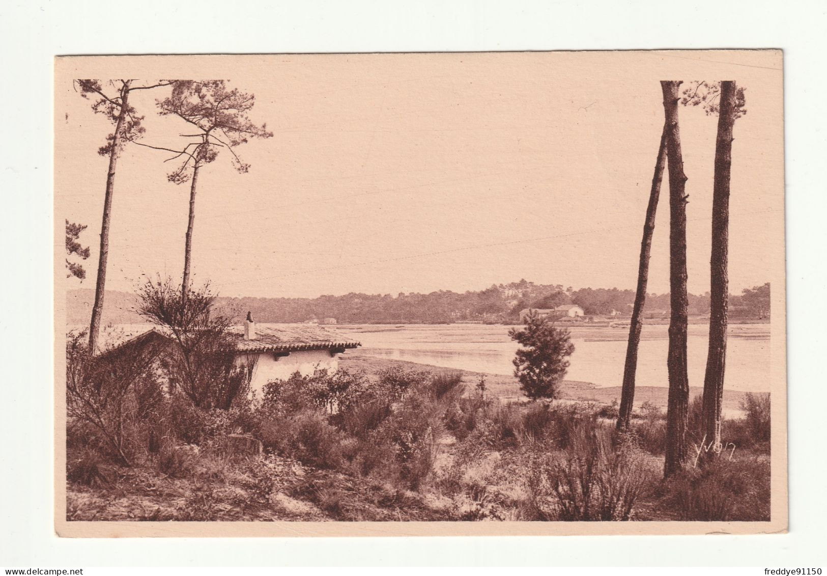 CPA 40 . Hossegor . La Sauvage Beauté D'une Partie Du Lac - Hossegor