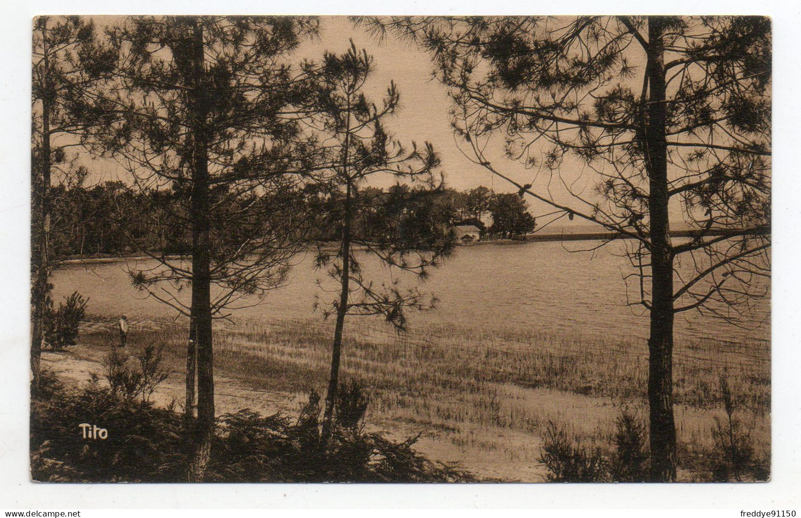 40 . BISCAROSSE PLAGE . LE PORT D'ISPE . 1931 - Biscarrosse