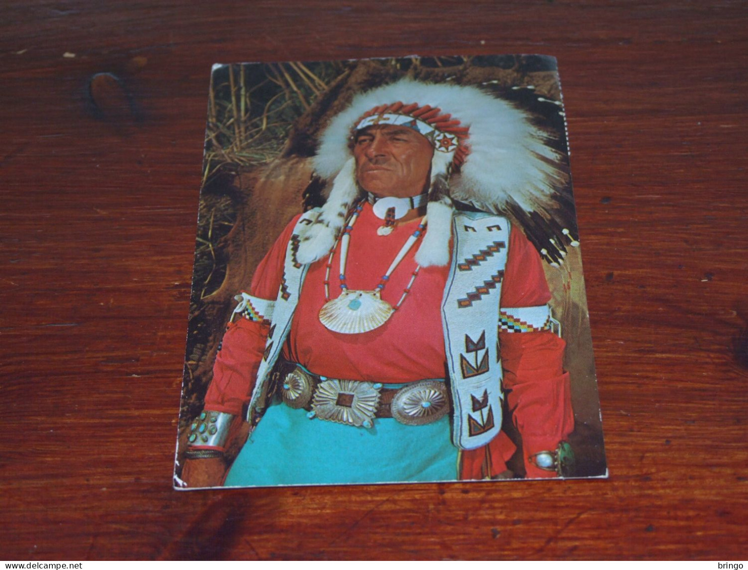 76074-       INDIAN CHIEF - Native Americans