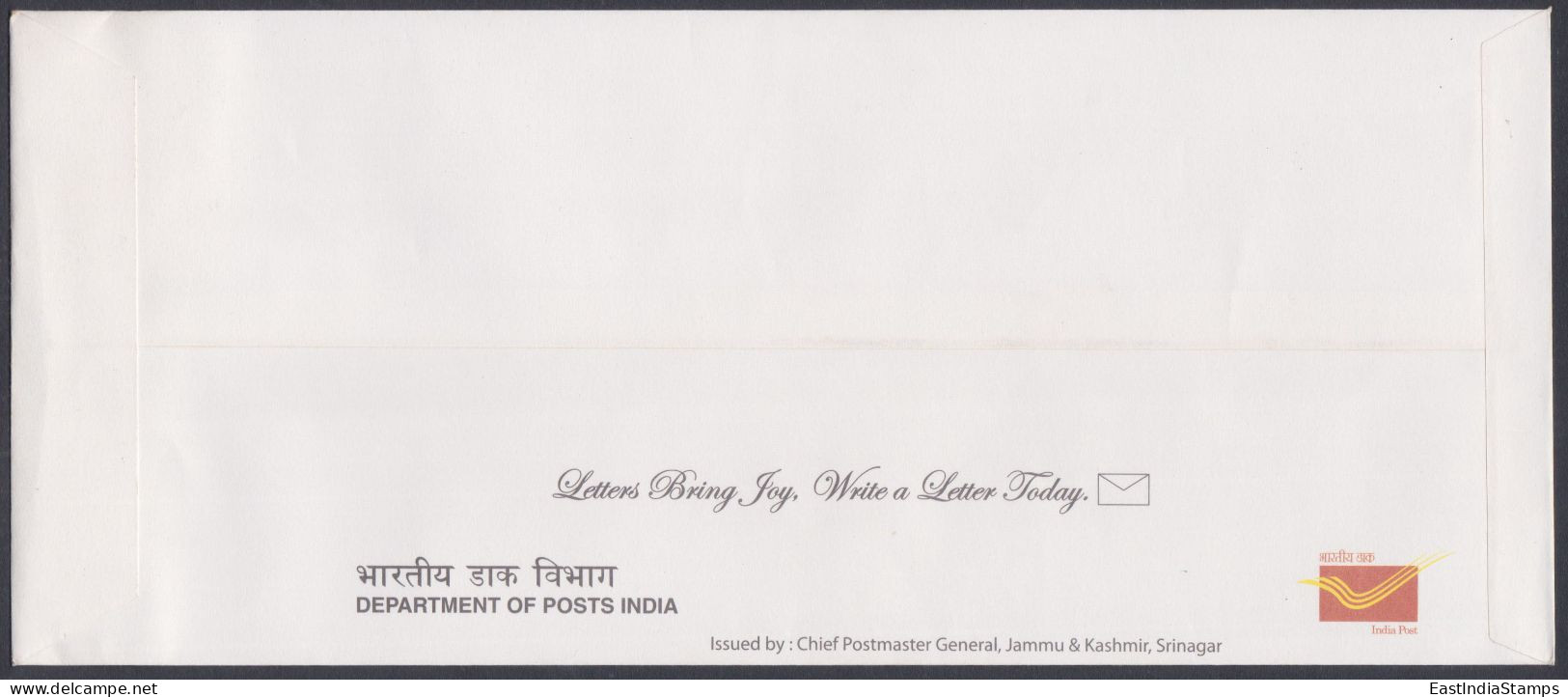 Inde India 2011 Special Cover Char Chinar, Dal Lake, Island, Tree, Trees, Tourism, Srinagar, Kashmir, Pictorial Postmark - Covers & Documents