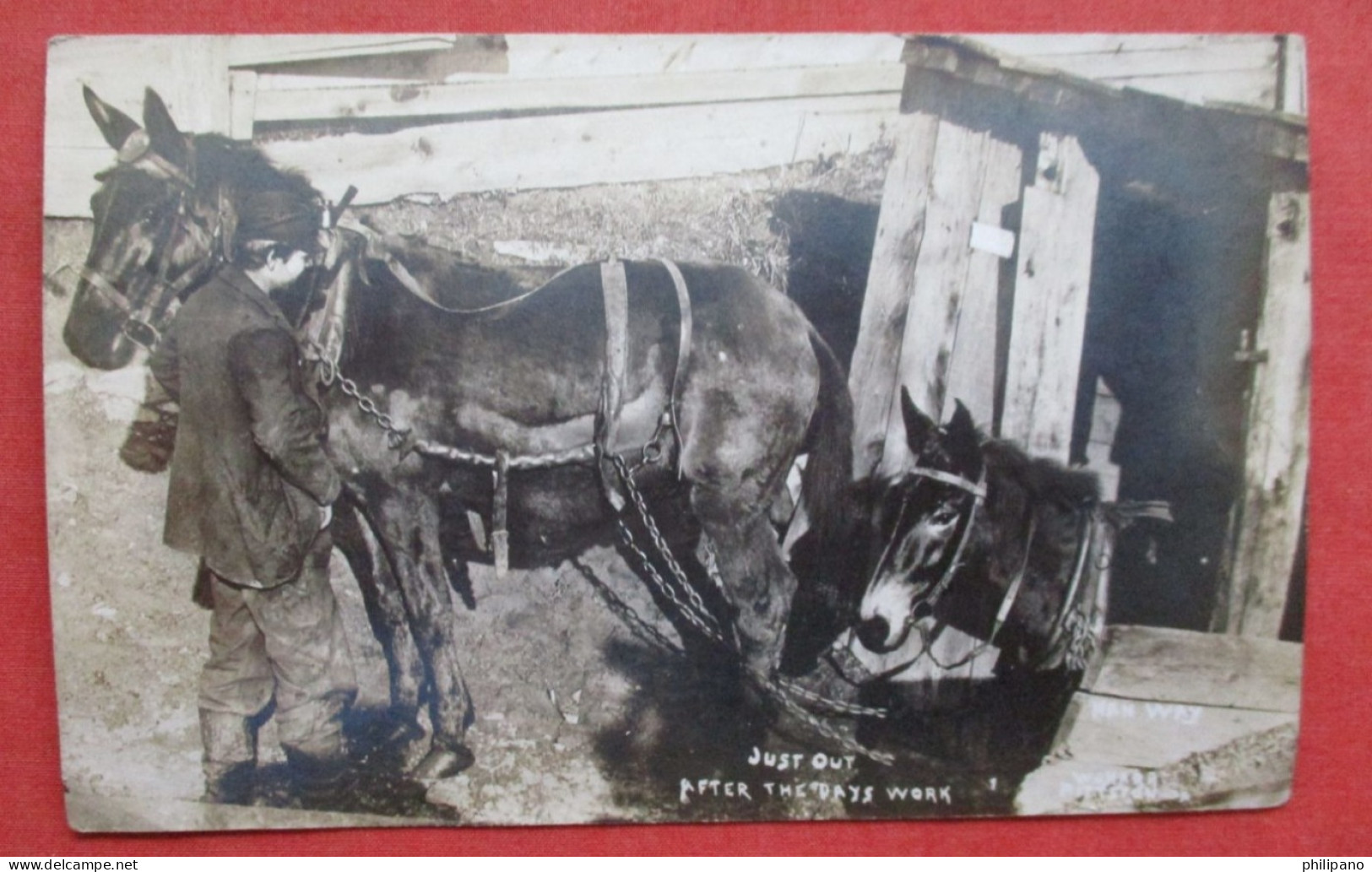 RPPC Mules Coming Out Of The Mine Anthracite Coal Mule Boy  Ref 6411 - Mines