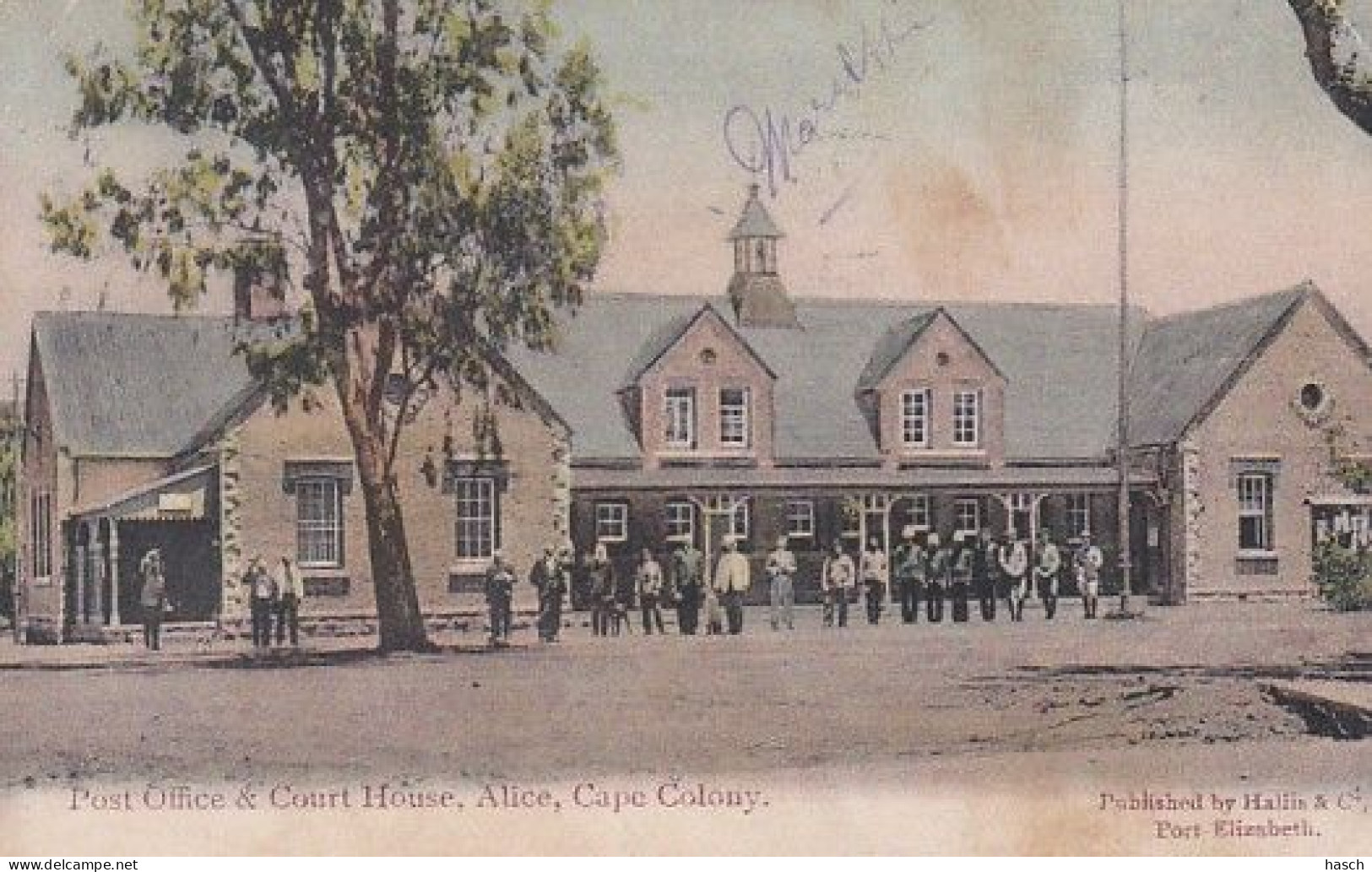 1830	13	Cape Colony, Post Office & Court House, Alice (postmark 1908)(left Right Top Little Crease) - South Africa