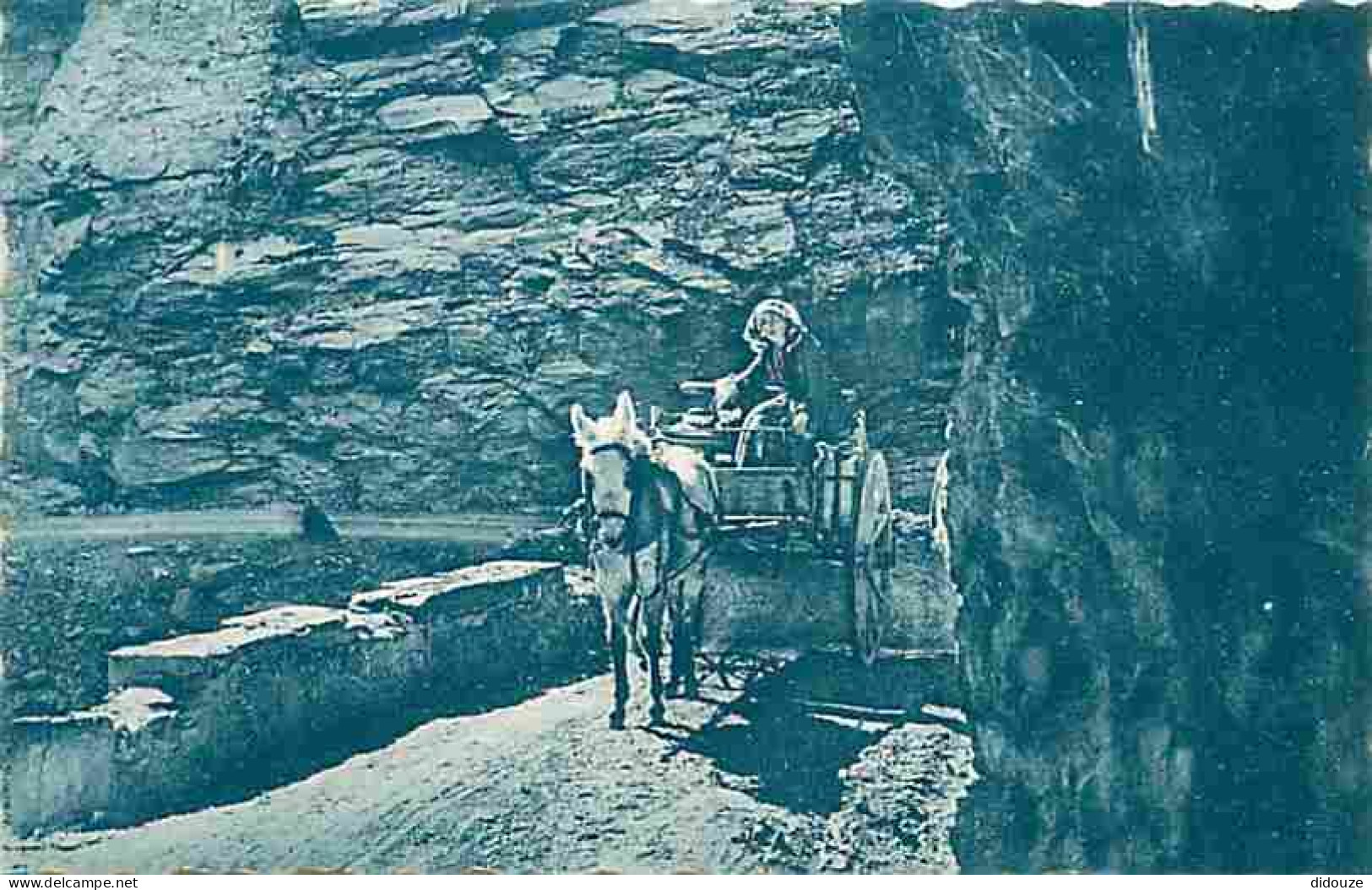 06 - Alpes Maritimes - Route Des Alpes - Gorges Supérieures Du Cians - Animée - Ane - CPA - Voir Scans Recto-Verso - Autres & Non Classés