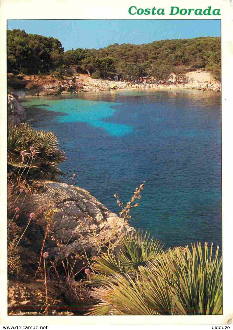 Espagne - Espana - Cataluna - Costa Dorada - CPM - Voir Scans Recto-Verso - Autres & Non Classés