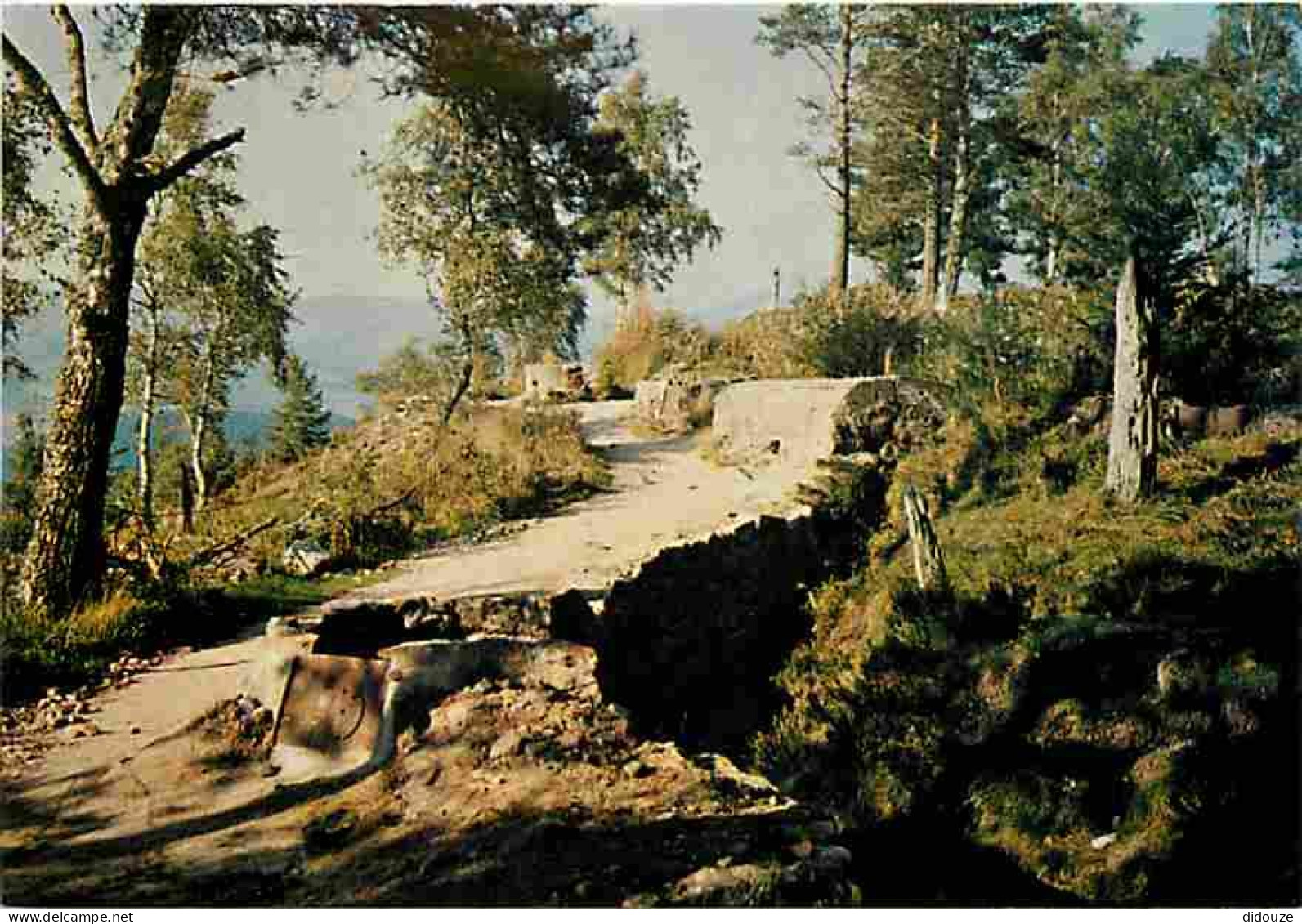 68 - Collet Du Linge - Le Champ De Bataille - 1ère Ligne Allemande - Guerre 1914-1918 - CPM - Voir Scans Recto-Verso - Autres & Non Classés