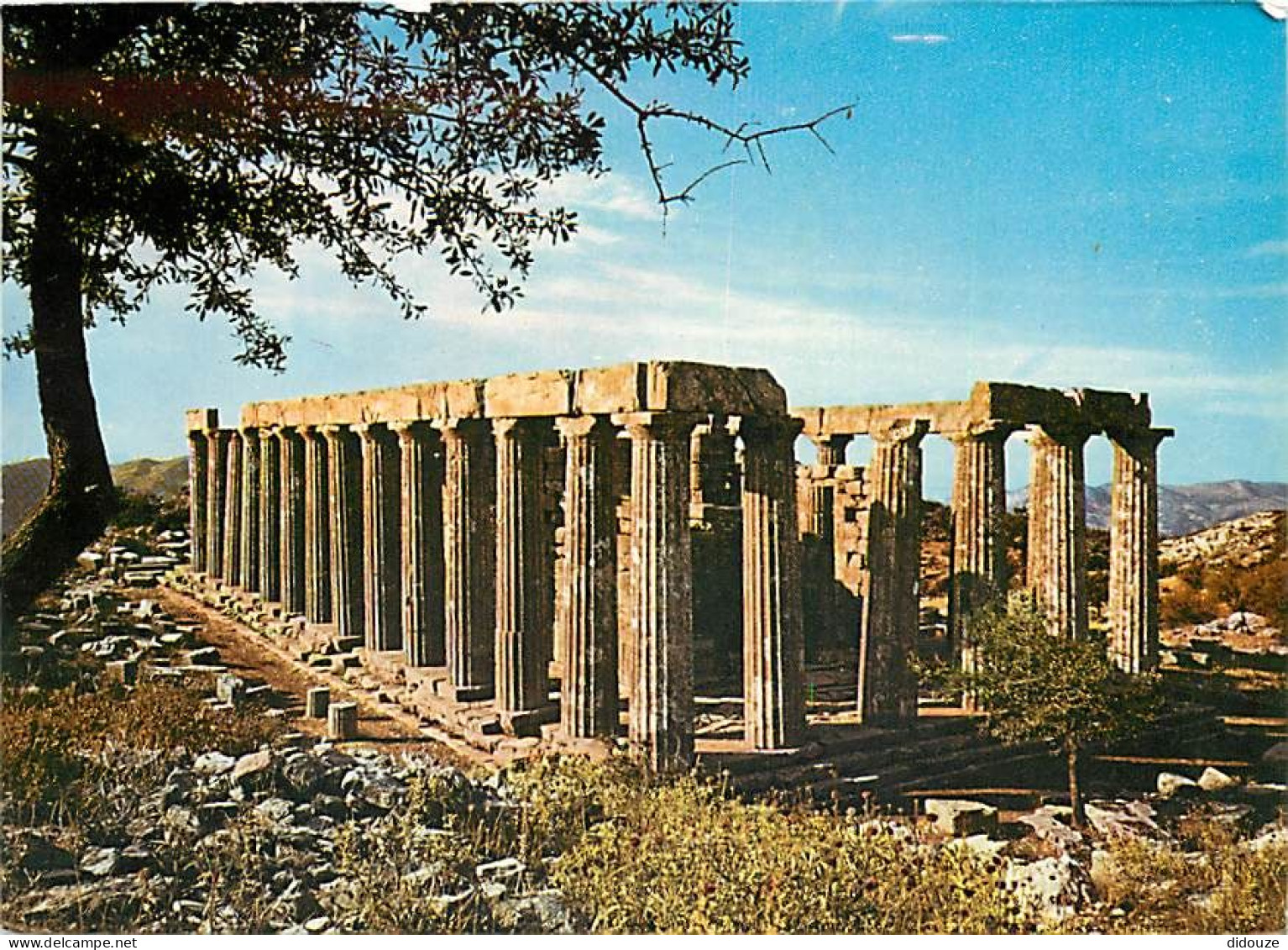 Grèce - Andritsaina - Le Temple D'Apollon Epikourios - Carte Neuve - CPM - Voir Scans Recto-Verso - Grèce