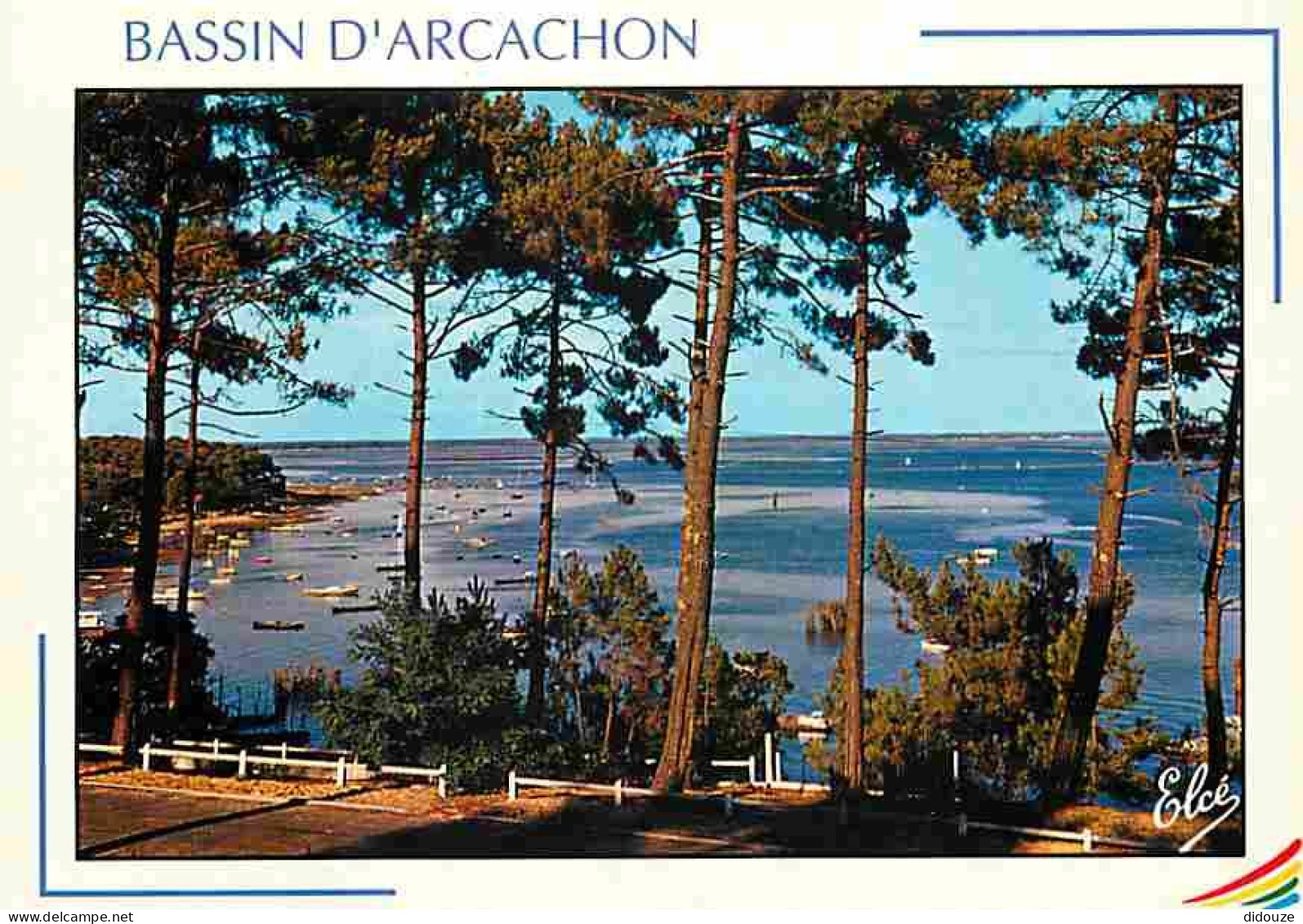 33 - Bassin D'Arcachon - Le Bassin à Travers Les Magnifiques Pins - CPM - Voir Scans Recto-Verso - Autres & Non Classés