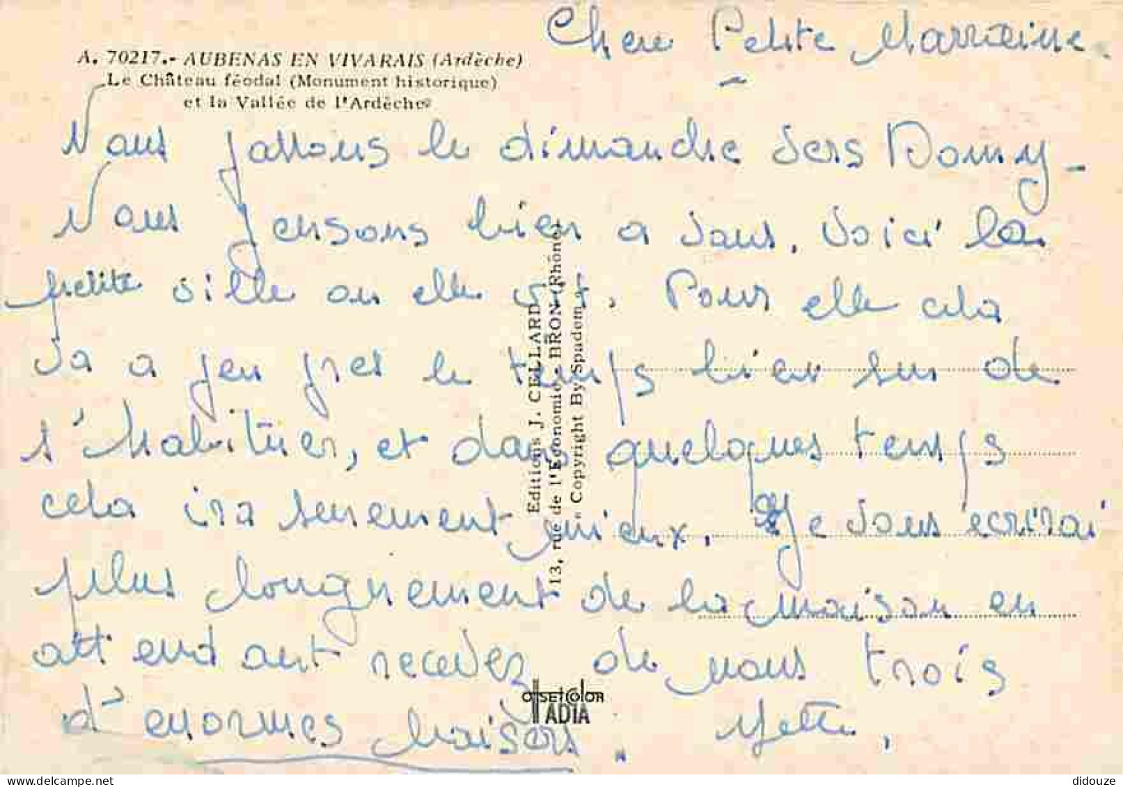 07 - Aubenas - Le Château Féodal (Monument Historique) Et La Vallée De L'Ardèche - CPM - Voir Scans Recto-Verso - Aubenas