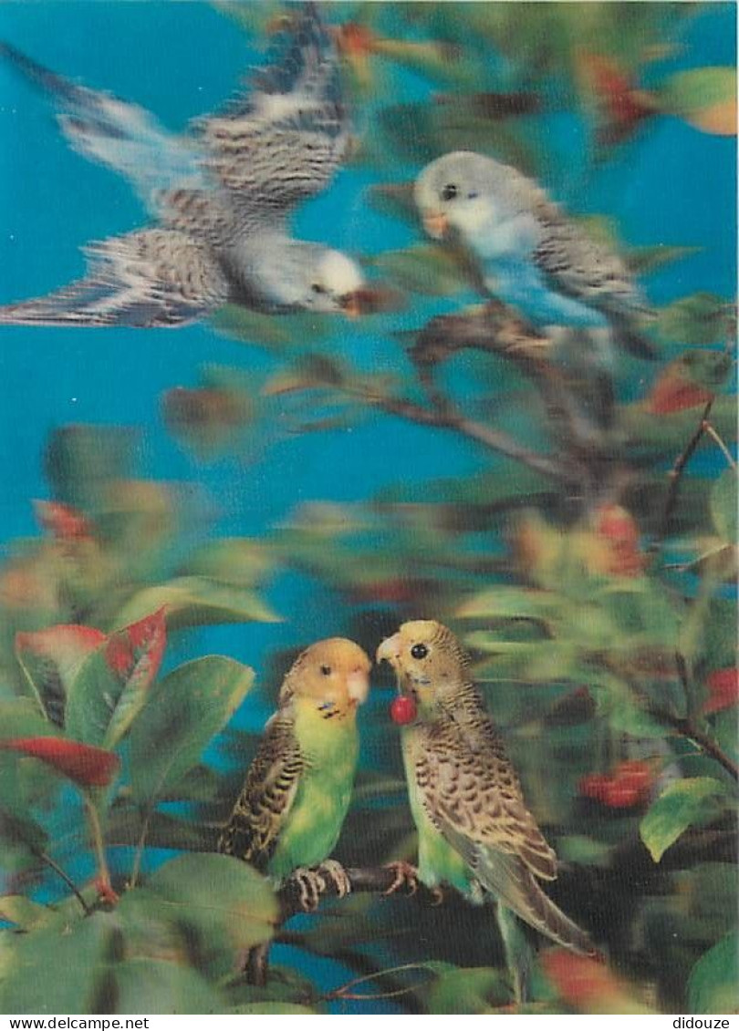 Animaux - Oiseaux - Perroquet - The Four Parrots - Carte 3D - CPM - Voir Scans Recto-Verso - Vögel
