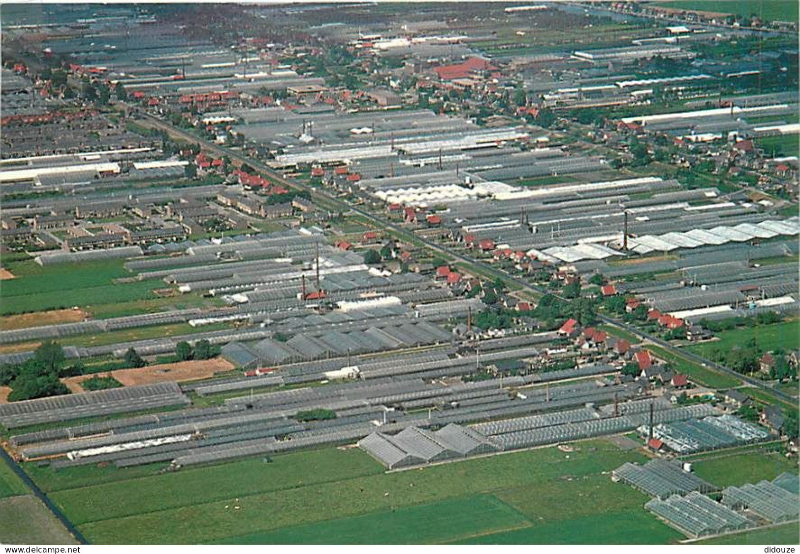 Pays-Bas - Nederland - Aalsmeer - With The Targest Flower Auction In The World, In The Heart Of Approximately 1250 Acres - Aalsmeer