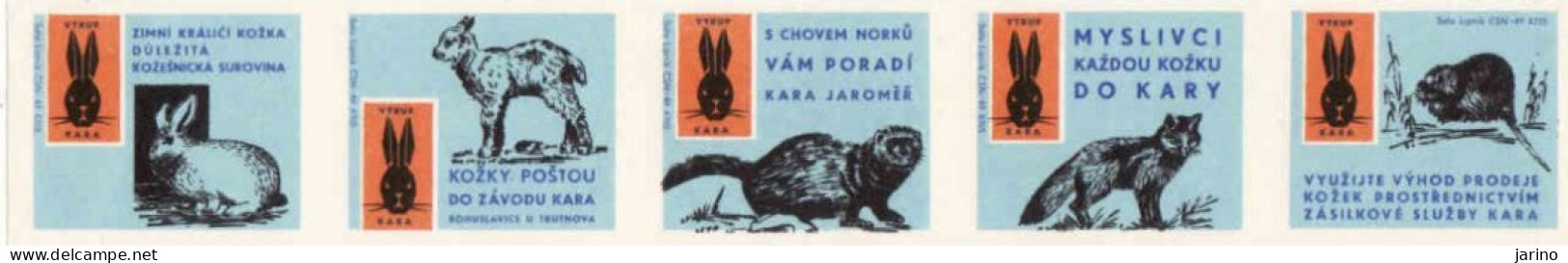 Czech Republic, 5 X Matchbox Labels, Kara Jaromeř - Výkup Koží Zajacov, Lišok, Noriek, Oviec - Hare, Fox, Mink, Sheep - Matchbox Labels