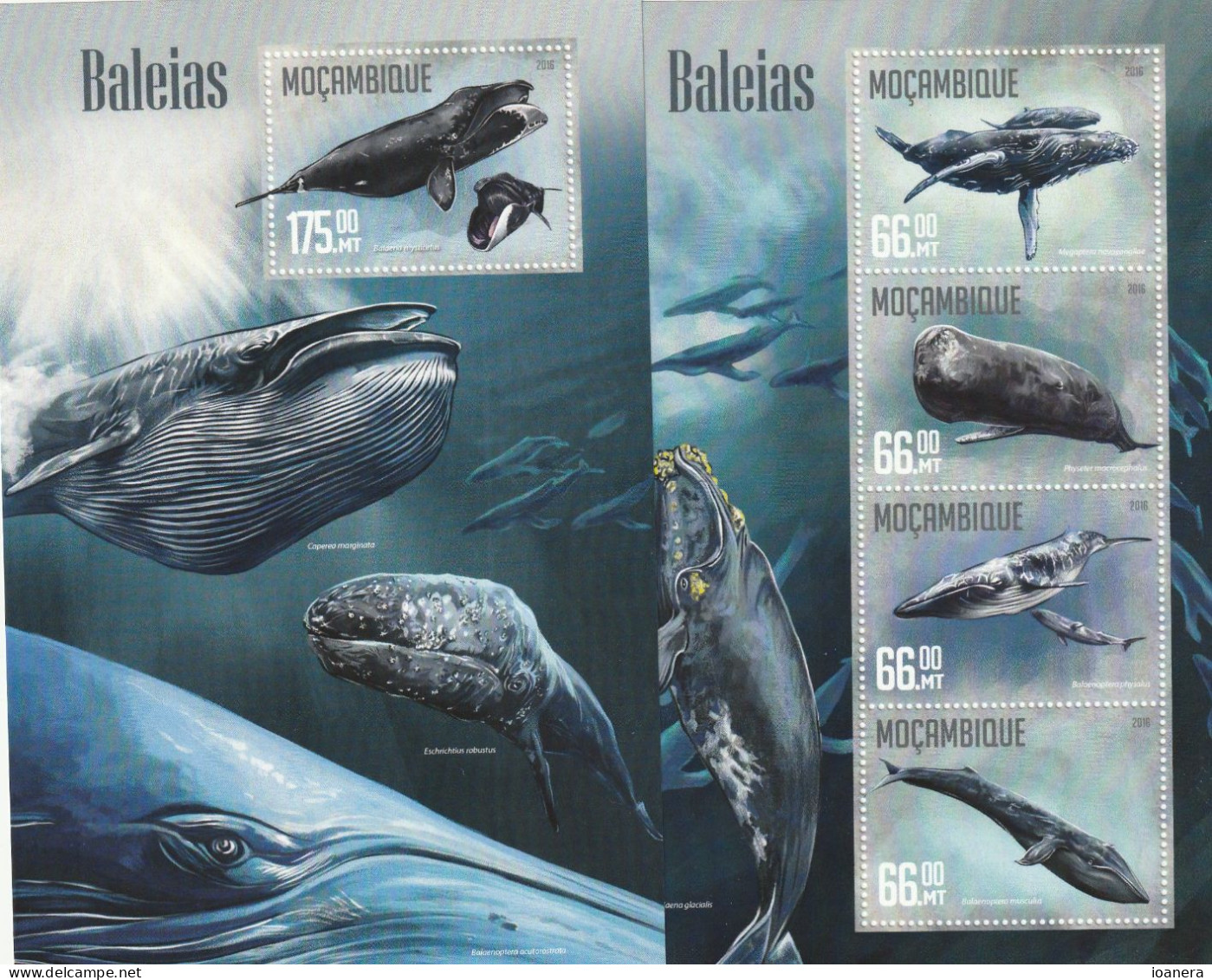 Mozambique 2016 , Fauna , Baleias , Block And Block 4 Values , Perforated , MNH , Mi.Bl.1131 , 8454-8457KB - Mozambique
