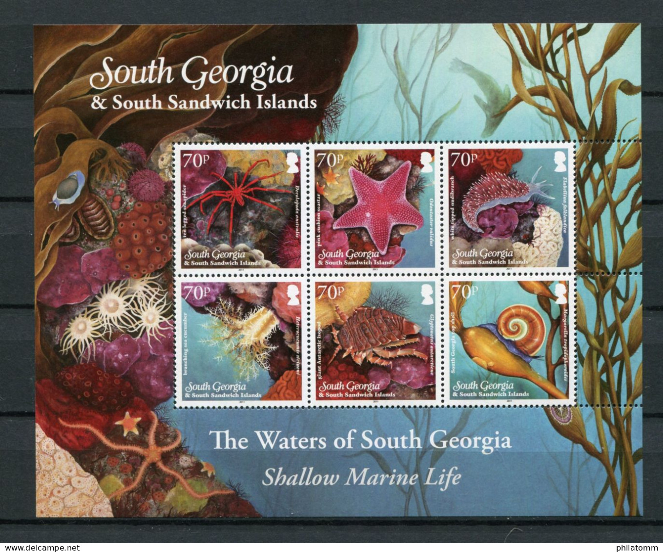 Südgeorgien - Kleinbogen Mi.Nr. 550 / 555 - "Wirbellose Meerestiere" ** / MNH (aus Dem Jahr 2012) - South Georgia