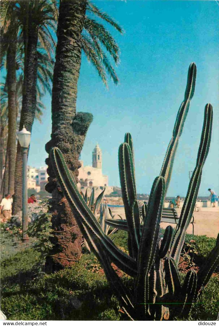 Fleurs - Plantes - Cactus - Sitges - Jardines Del Paseo Maritimo - Espagne - Espana - CPM - Voir Scans Recto-Verso - Cactus