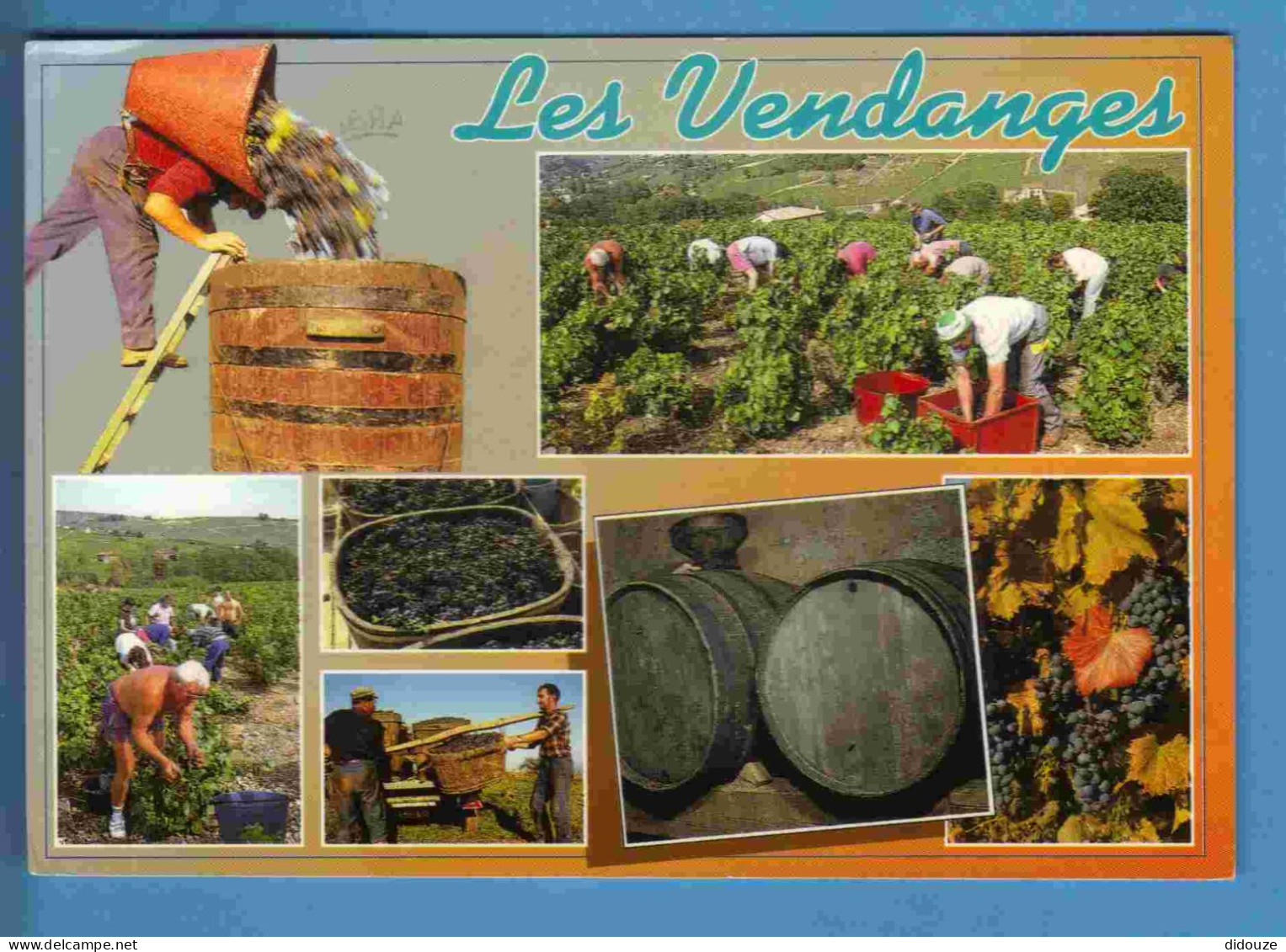 Vignes - Vendanges - Multivues - Ecrite En 2000 - Vines