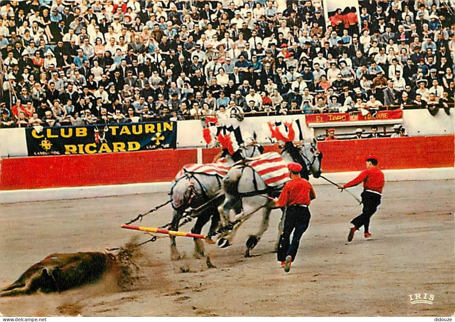 Corrida - Arrastre - Chevaux - CPM - Voir Scans Recto-Verso - Corrida