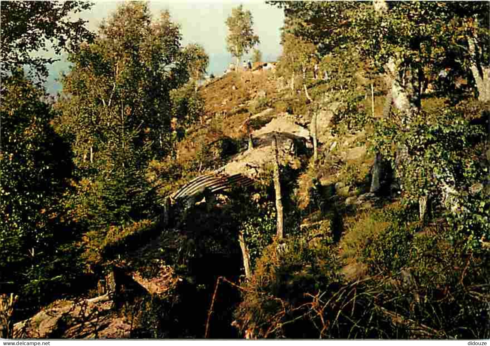 68 - Collet Du Linge - Le Champ De Bataille - 1ère Ligne Française - Guerre 1914-1918 - CPM - Voir Scans Recto-Verso - Other & Unclassified