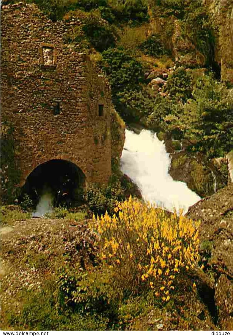 34 - Hérault - Le Massif De L'Aigoual - La Source De La Foux à La Résurgence De La Vis Entre Vissec Et Navacelles - Cart - Autres & Non Classés