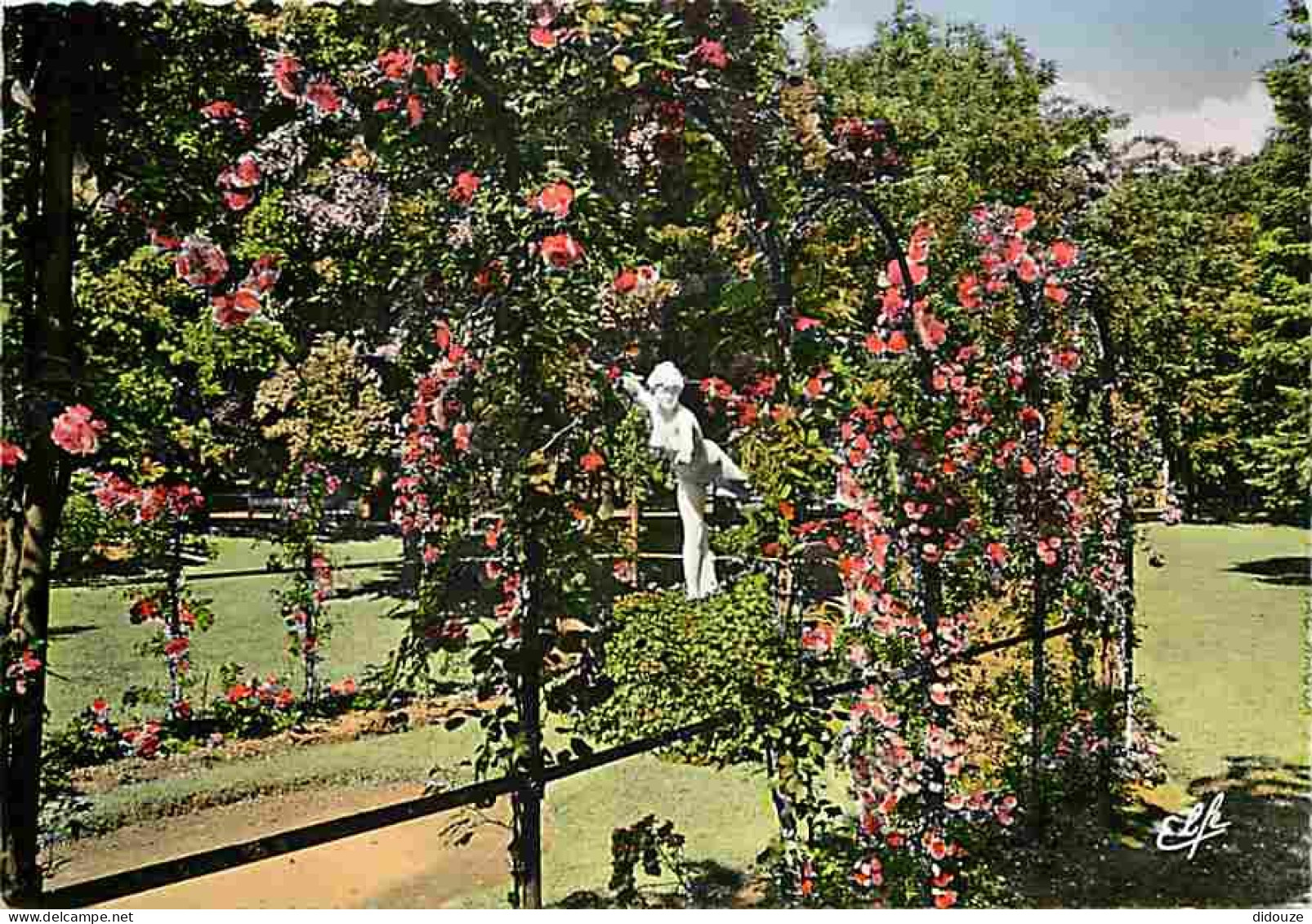31 - Toulouse - La Roseraie Du Jardin Des Plantes - Fleurs - CPM - Voir Scans Recto-Verso - Toulouse