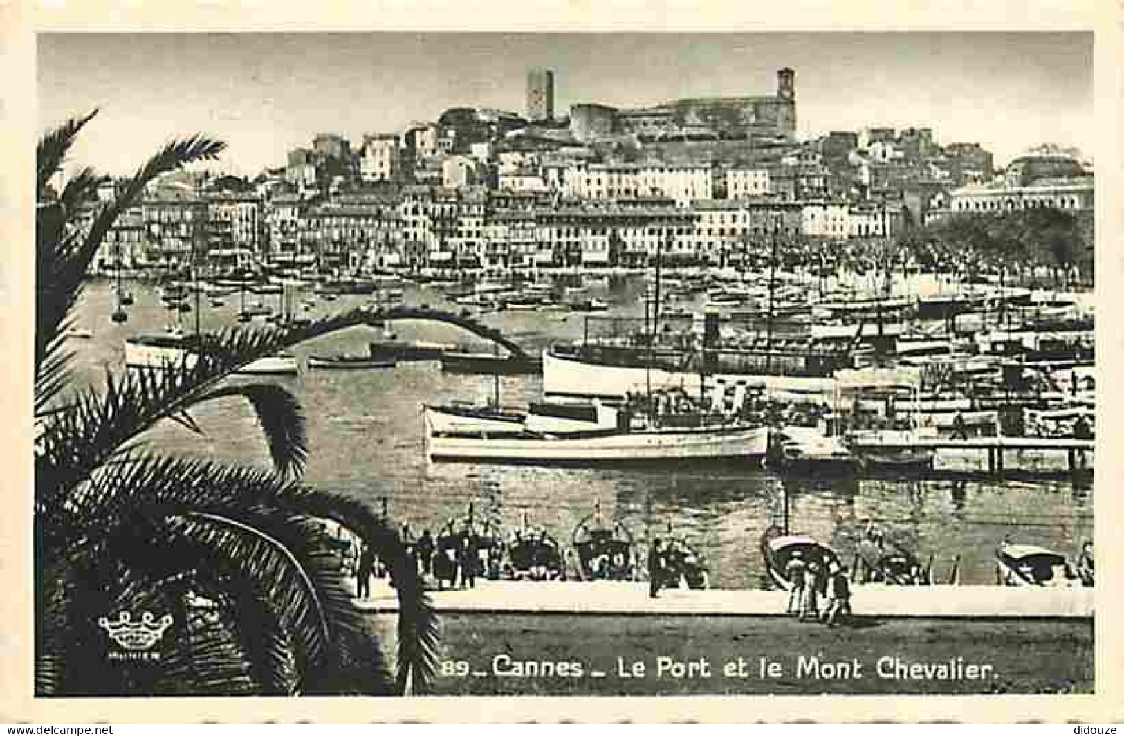 06 - Cannes - Le Port Et Le Mont Chevalier - Bateaux - CPM - Voir Scans Recto-Verso - Cannes