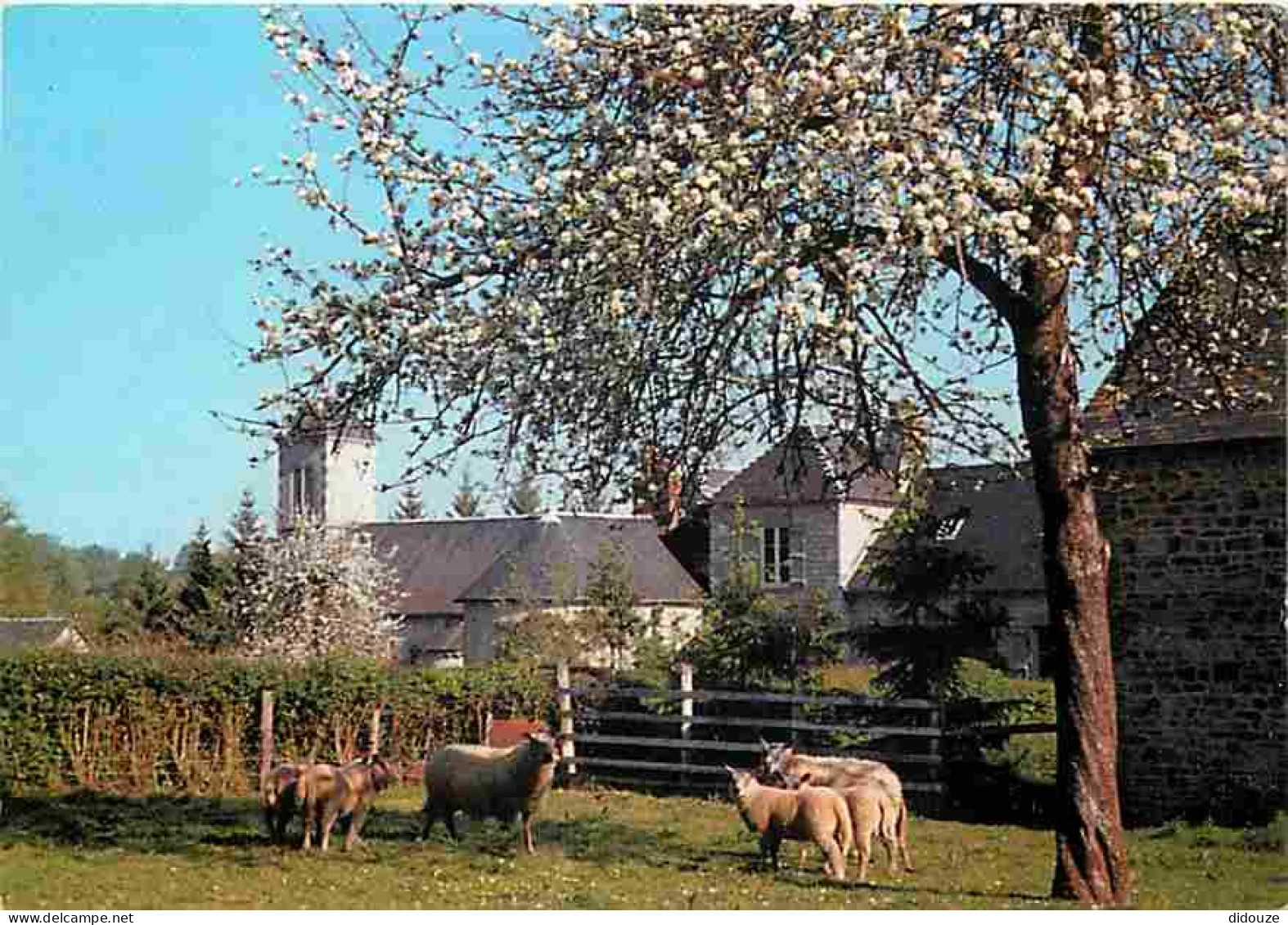 Animaux - Moutons - Environs De Bagnoles De L'Orne - Prieuré Ste Marie Des Servites - Saint Ortaire - La Ferté Macé - CP - Autres & Non Classés