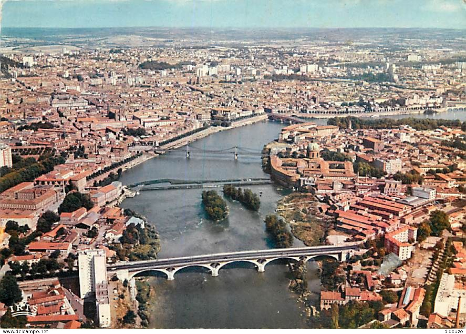 31 - Toulouse - CPM - Voir Scans Recto-Verso - Toulouse