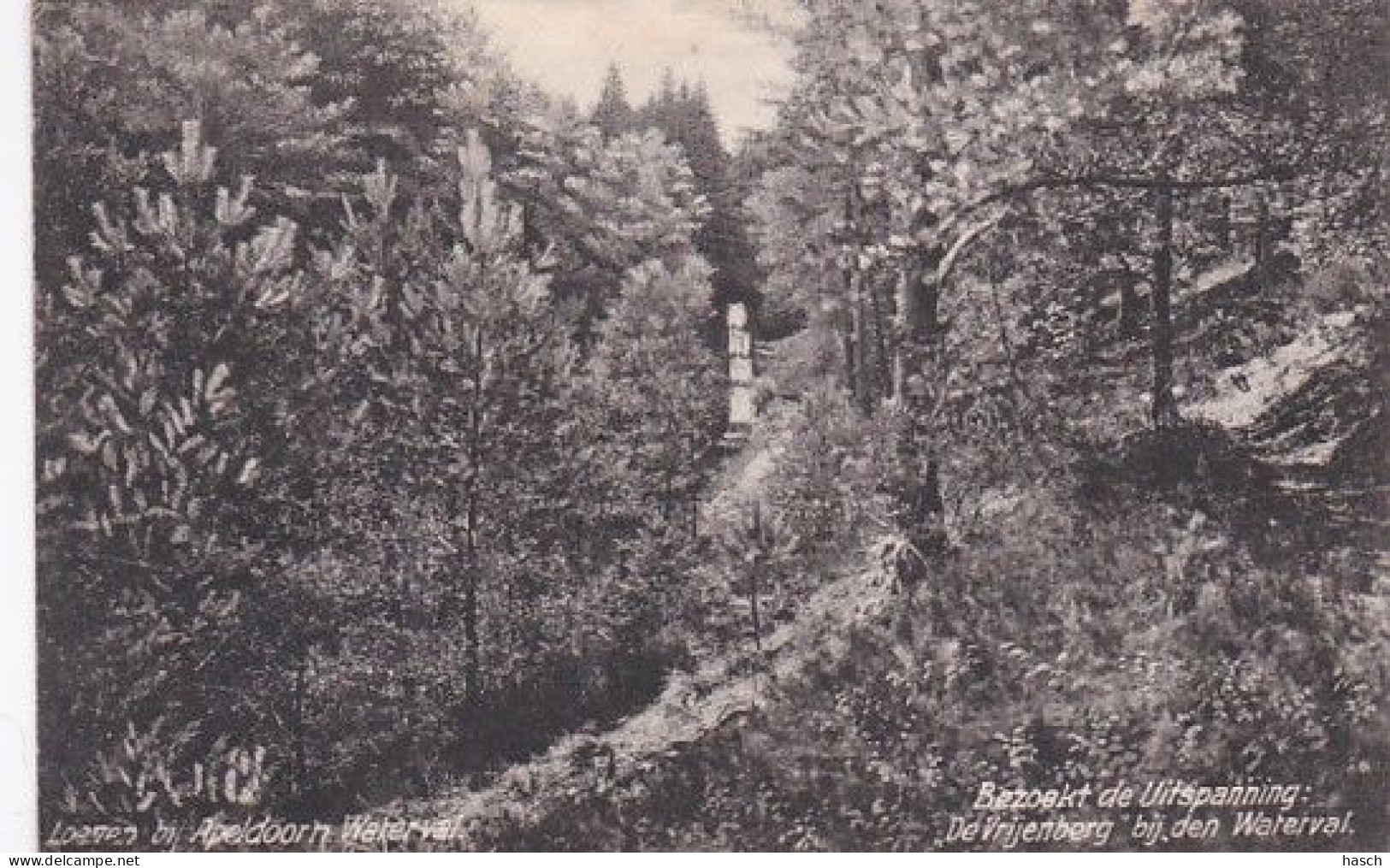 1850	321	Loenen Bij Apeldoorn, Bezoekt De Uitspanning ,,De Vrijenberg’’ Bij Den Waterval.(poststempel 1919) - Apeldoorn