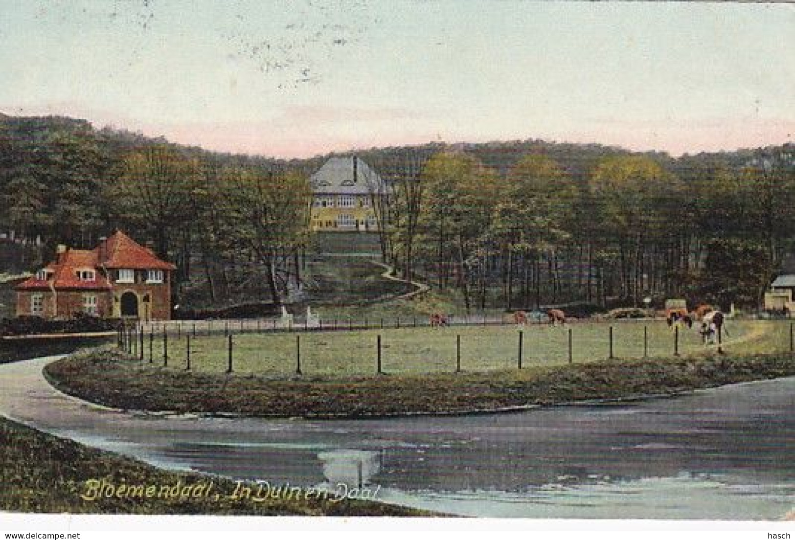 1850	311	Bloemendaal, In Duin En Daal (poststempel 1907) - Bloemendaal