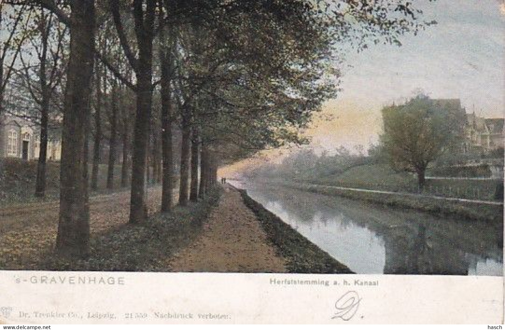 1850	296	's Gravenhage, Herfststemming A. H. Kanaal. (poststempel 1904)(zie Hoeken) - Den Haag ('s-Gravenhage)