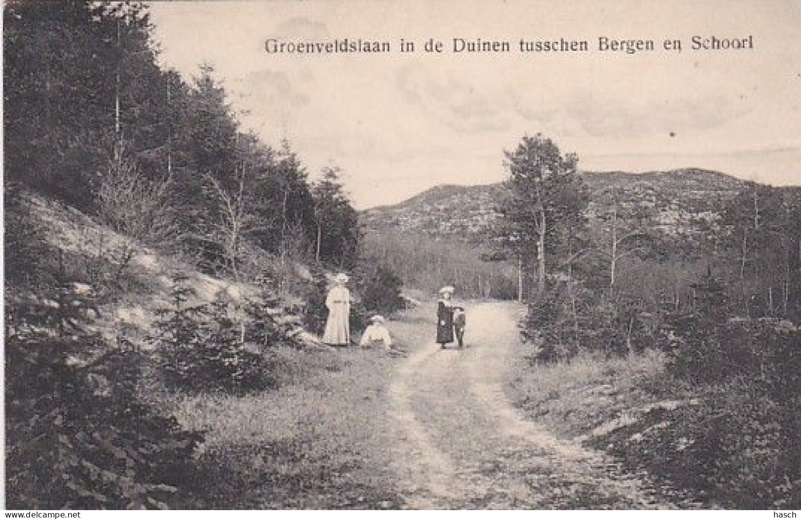 1850274Groenveldslaan In De Duinen Tusschen Bergen En Schoorl (poststempel 1908) (vouw Zie Achterkant) - Autres & Non Classés