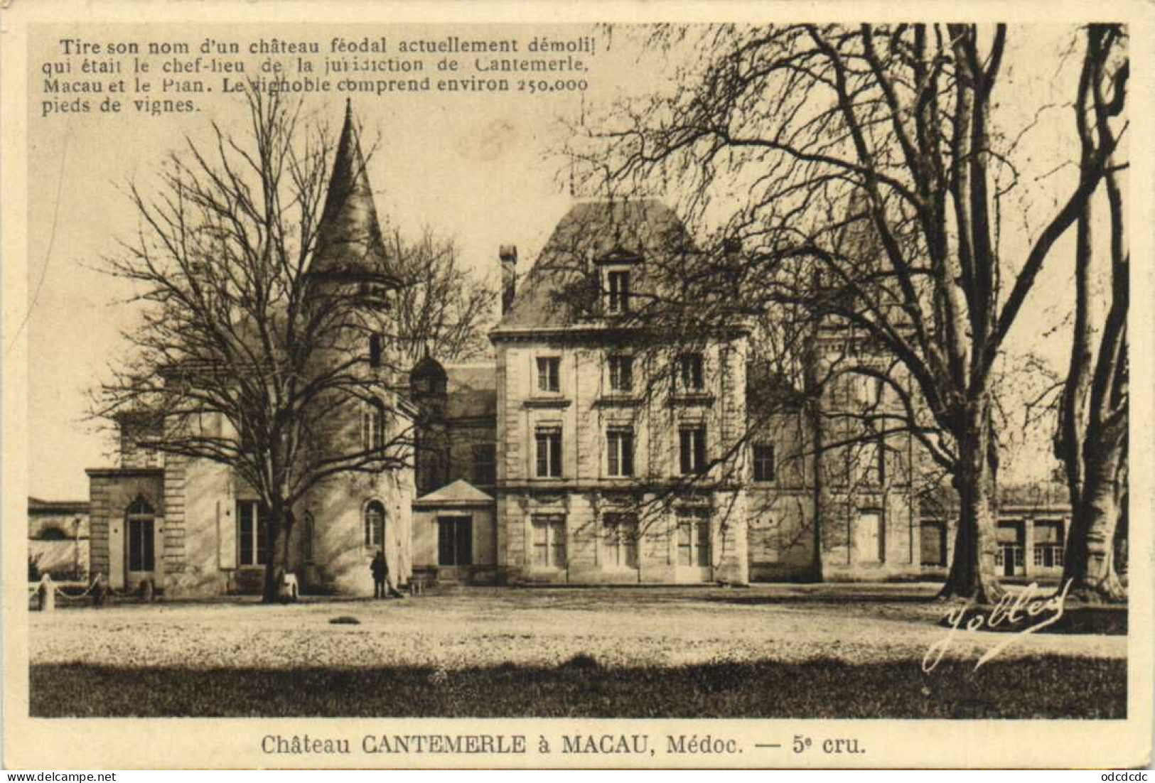 Chateau CHANTEMERLE à MACAU ,Médoc  -5e Cru RV - Autres & Non Classés