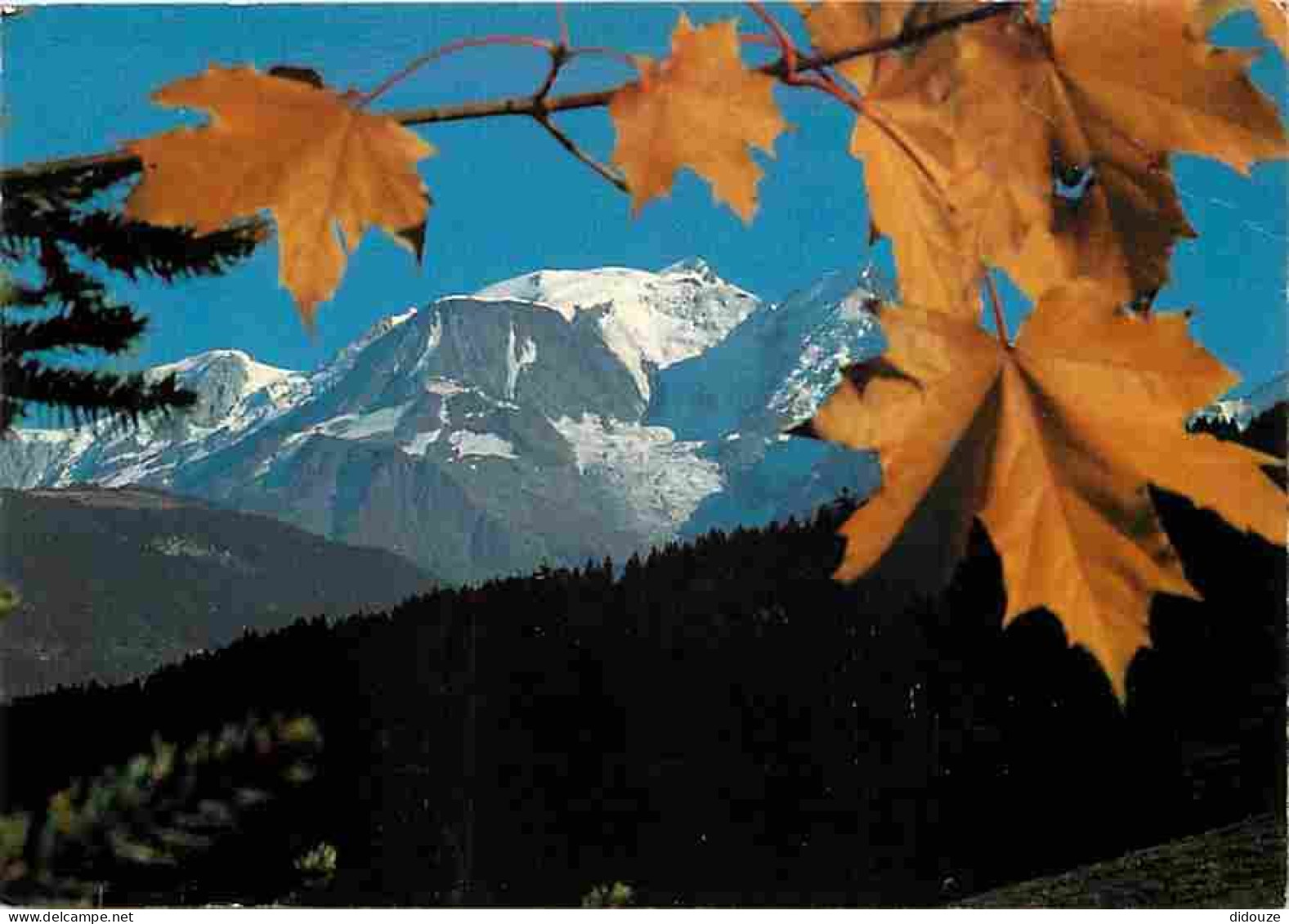 74 - Chamonix - Mont-Blanc - Massif Du Mont-Blanc - CPM - Voir Scans Recto-Verso - Chamonix-Mont-Blanc
