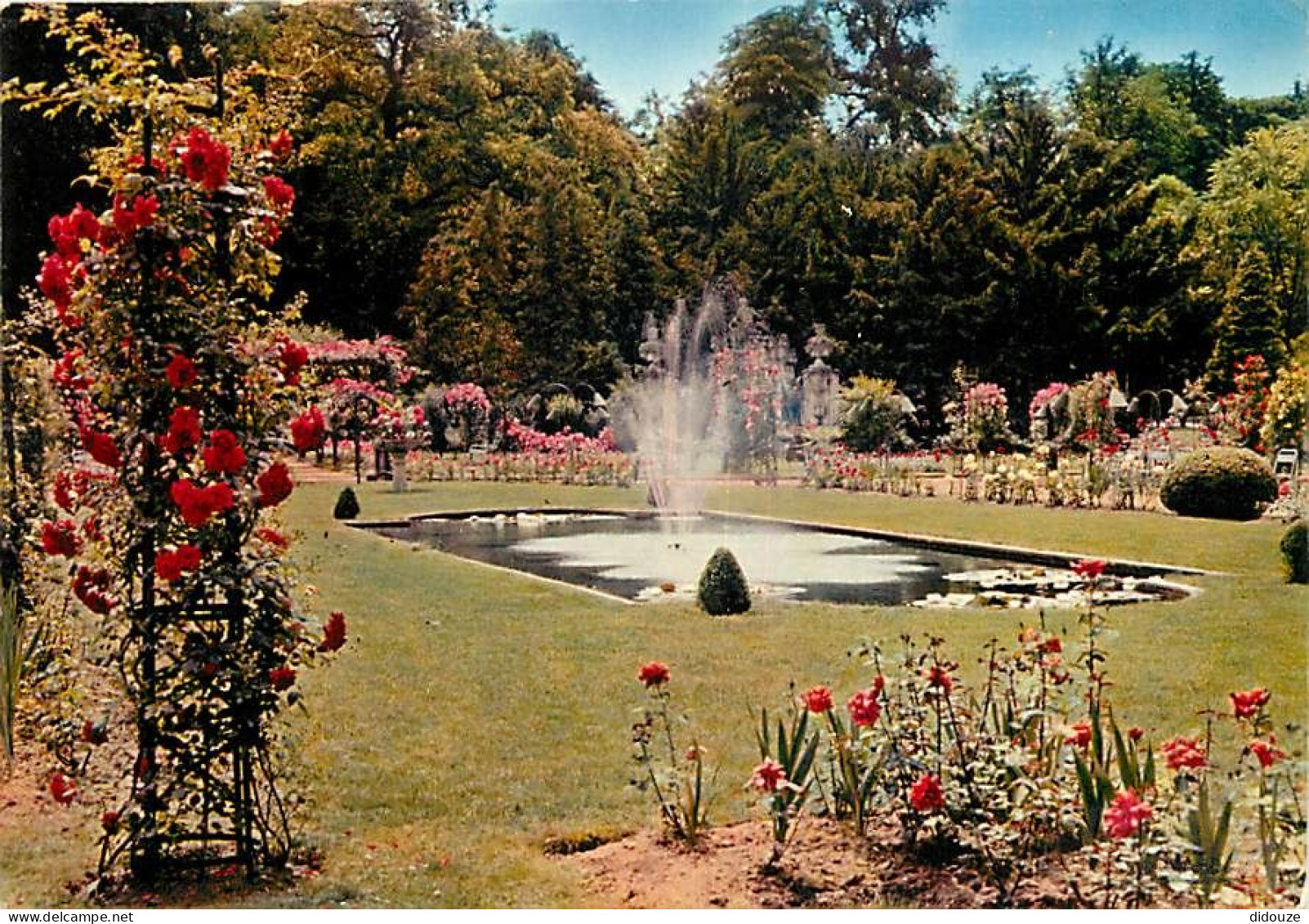 54 - Nancy - Parc De La Pépinière - Fleurs - CPM - Voir Scans Recto-Verso - Nancy