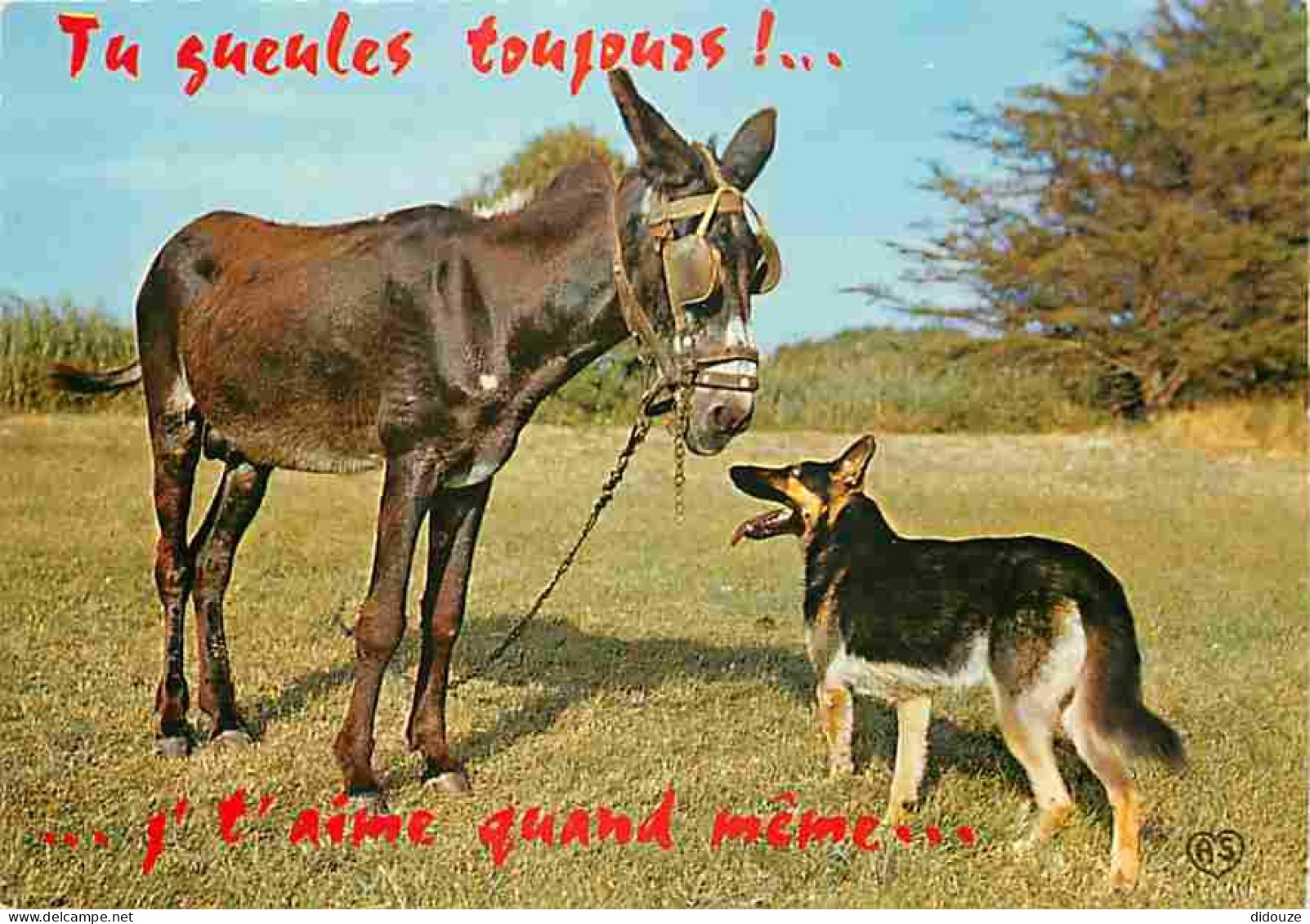 Animaux - Anes - Carte Humoristique - Chiens - Carte Neuve - CPM - Voir Scans Recto-Verso - Esel