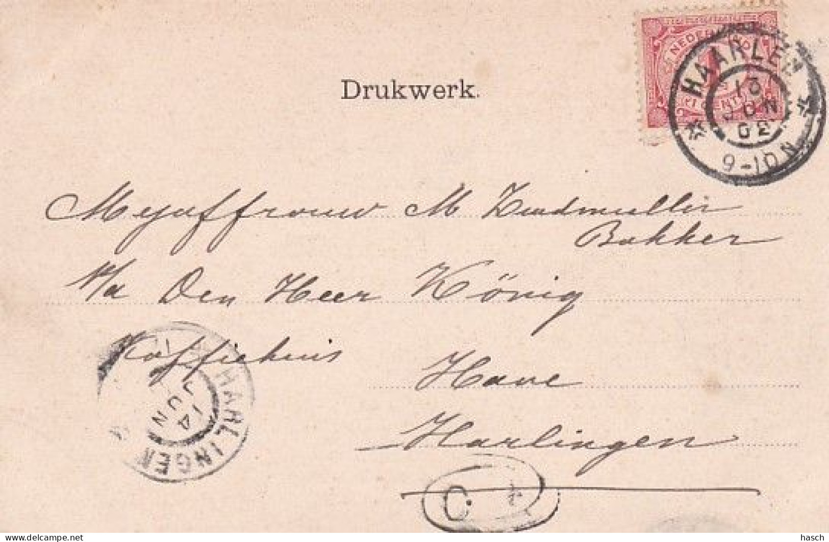 1854	143	Haarlem, Het Spaarne De Melkbrug (poststempel 1902) - Haarlem